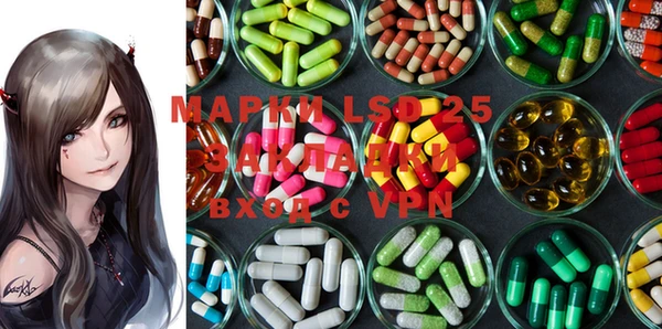 apvp Богданович