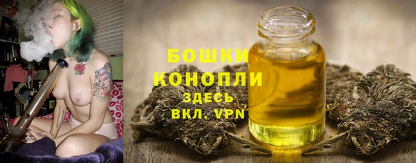 apvp Богданович