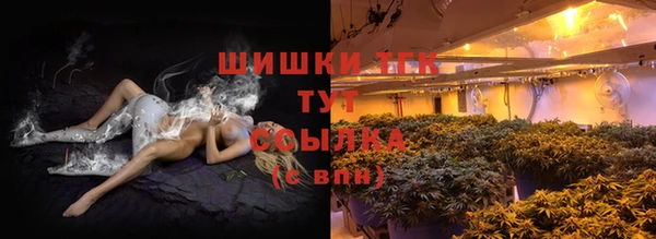 apvp Богданович