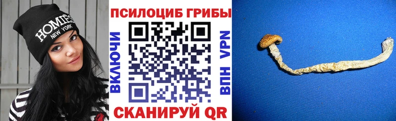 Галлюциногенные грибы мицелий  Купить где  Сальск 