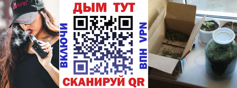 Конопля Ganja  Купить где  Сальск 